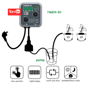 Timer B1