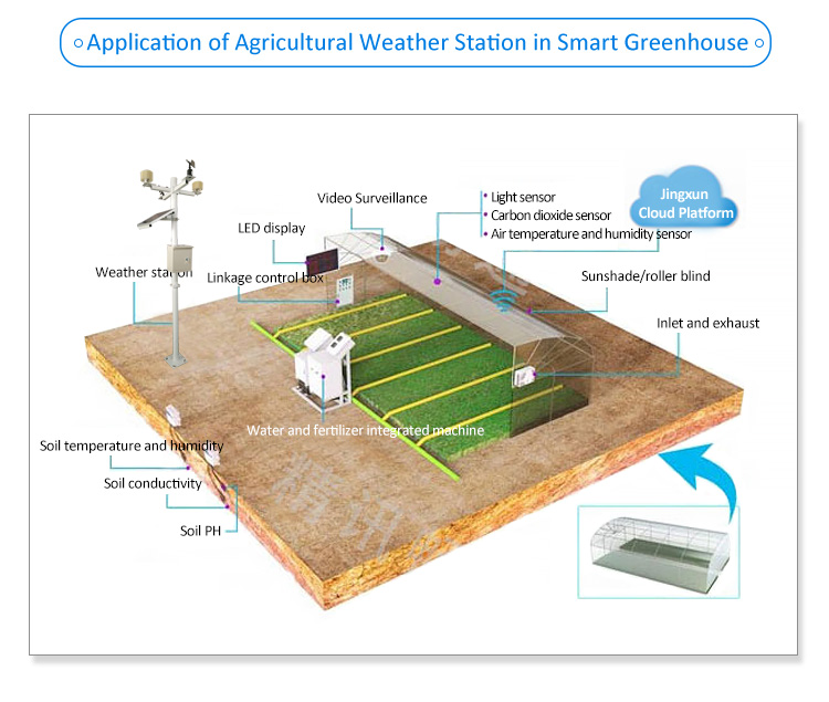 Automatic Weather Station (AWS)