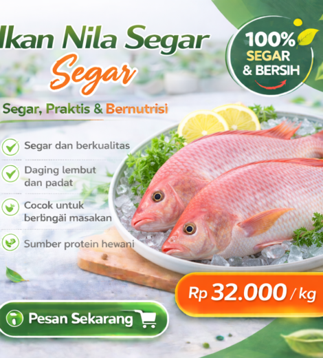 Ikan Nila Segar 2026-03-16