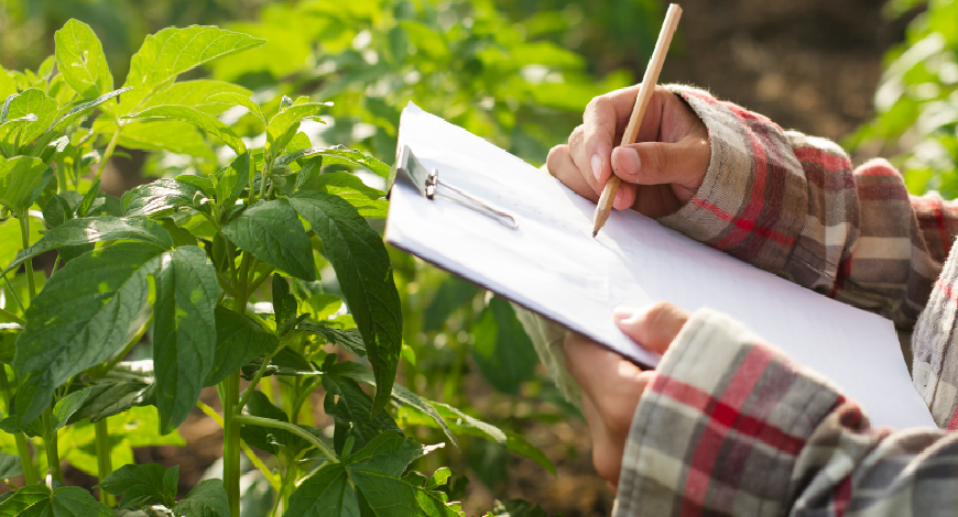 Smart Agriculture