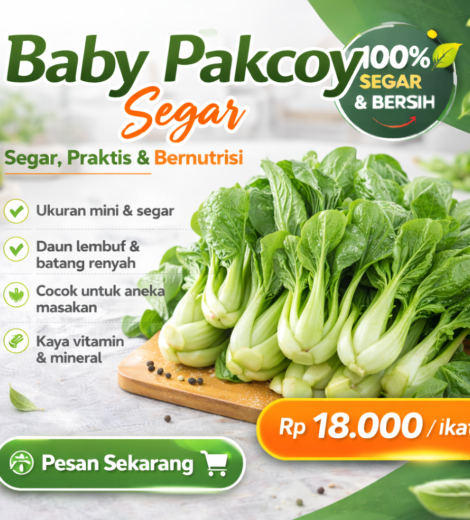 Baby Pakcoy Segar 2026-03-16