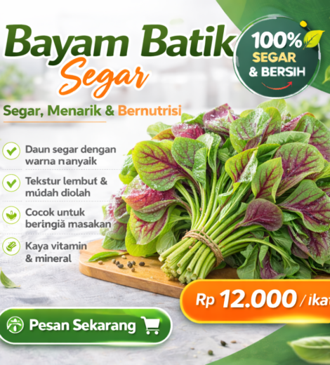 Bayam Batik Segar 2026-03-16