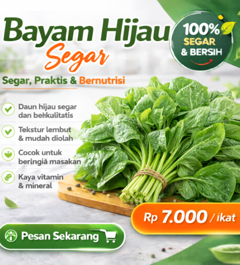 Bayam Hijau Segar 2026-03-16