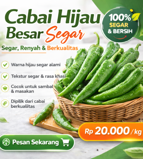 Cabai Hijau Besar Segar 2026-03-11