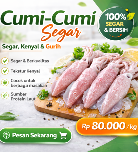 Cumi-Cumi Segar 2026-03-11
