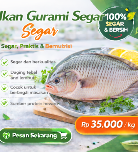 Ikan Gurami Segar 2026-03-16