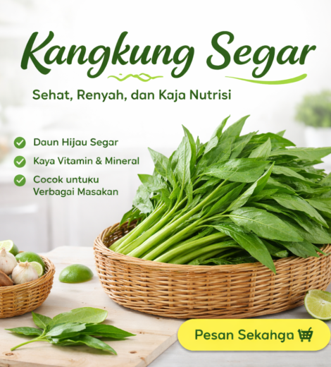 Kangkung Segar 2026-03-11