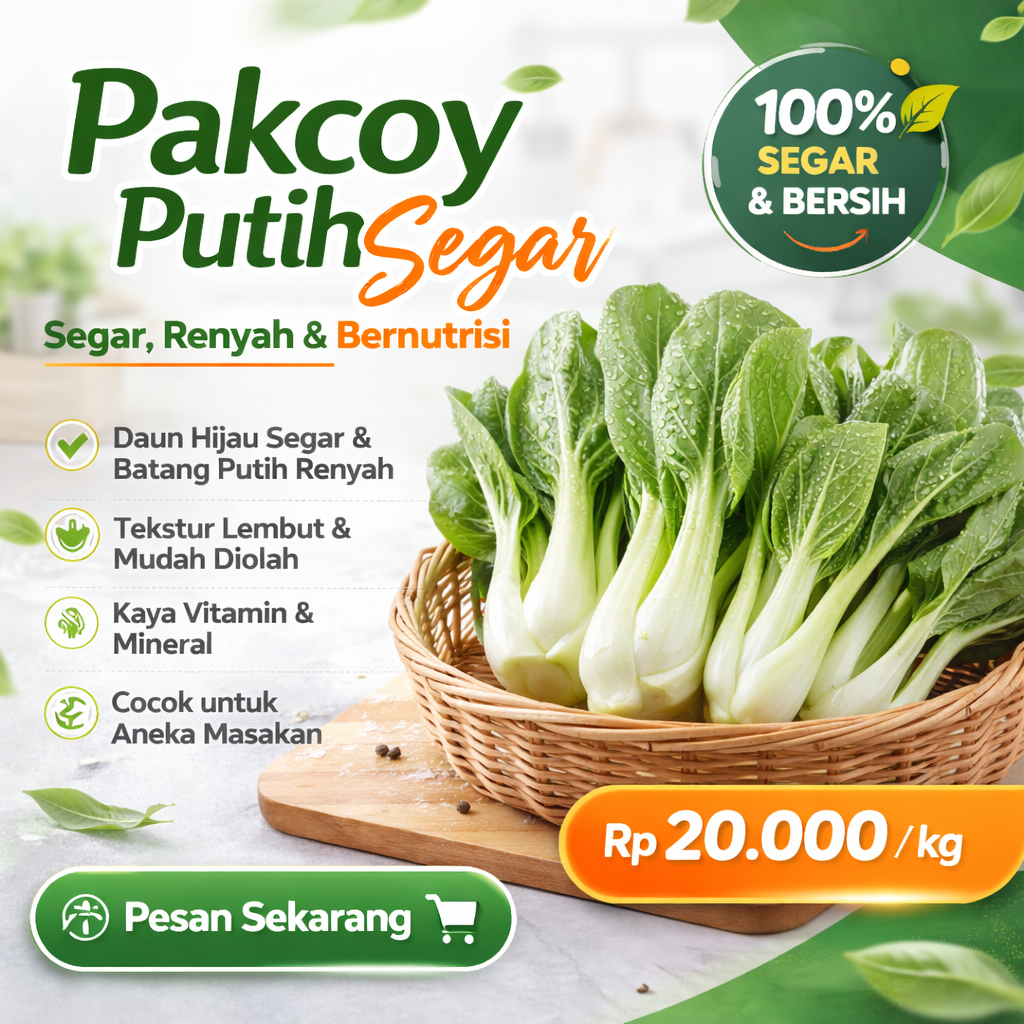 Pakcoy Putih Segar 2026-03-11
