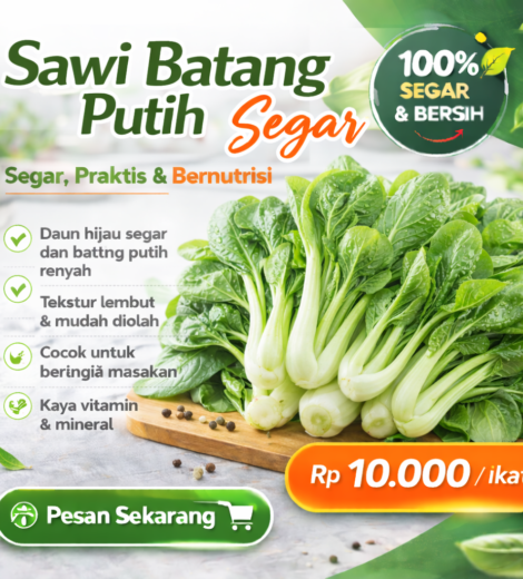 Sawi Batang Putih Segar 2026-03-16