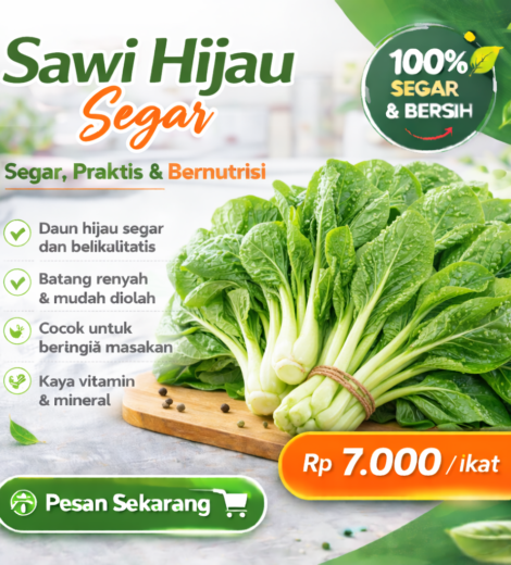 Sawi Hijau Segar 2026-03-16