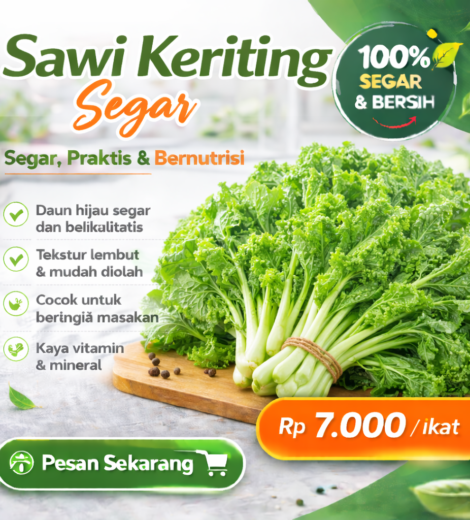 Sawi Keriting Segar 2026-03-16