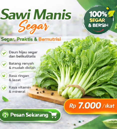 Sawi Manis Segar 2026-03-16