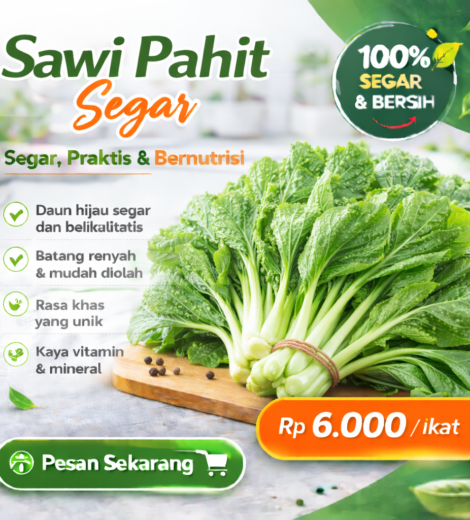 Sawi Pahit Segar 2026-03-16