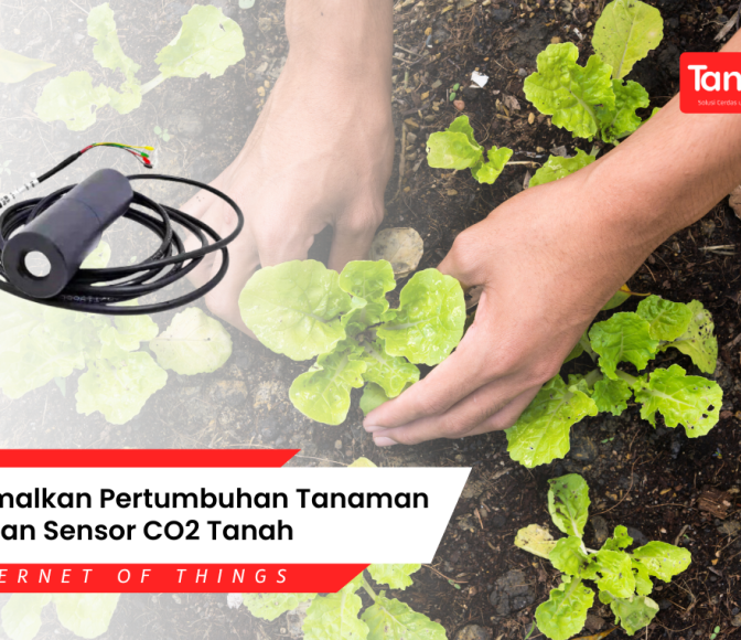 Optimalkan Pertumbuhan Tanaman