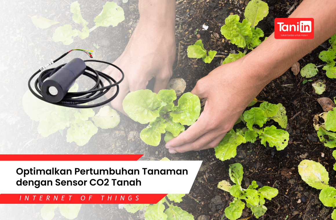 Optimalkan Pertumbuhan Tanaman