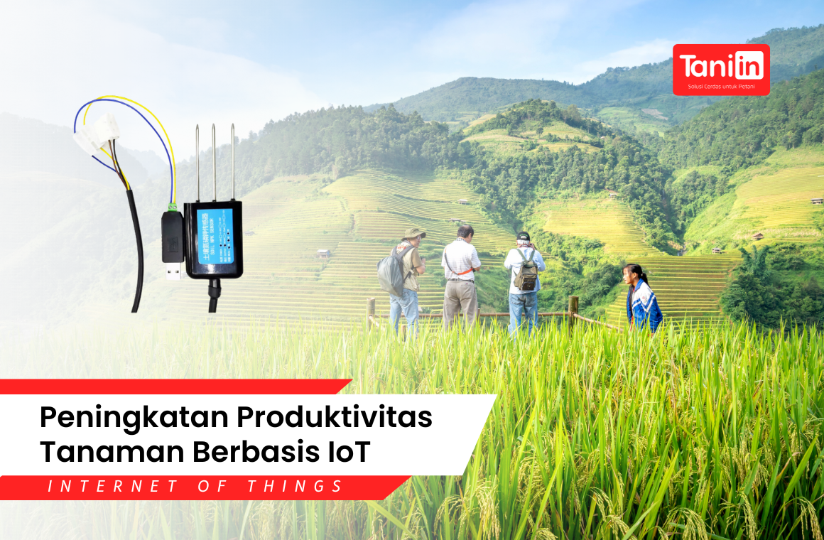 Peningkatan Produktivitas Tanaman