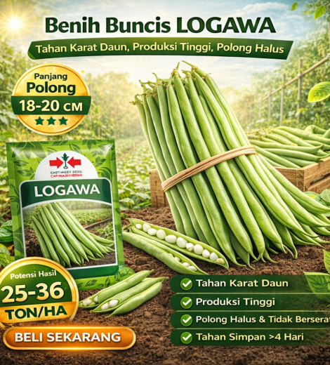 Benih Buncis LOGAWA 2026-03-18