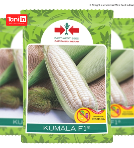 Jagung Kumala