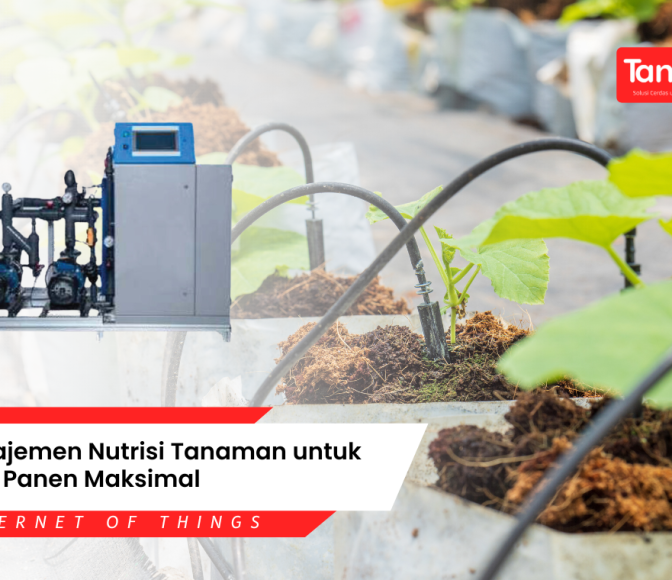 Manajemen Nutrisi Tanaman
