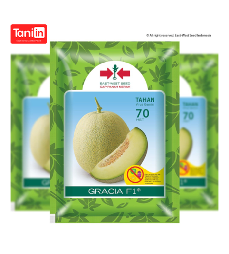 Melon Gracia