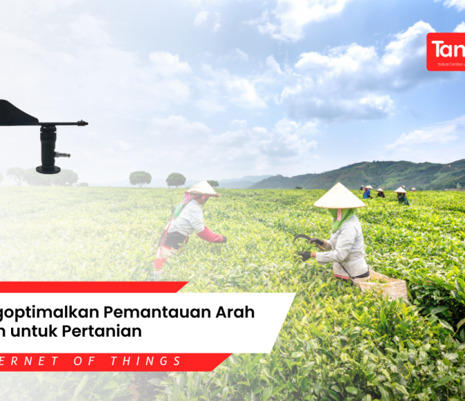 Mengoptimalkan Pemantauan Arah Angin