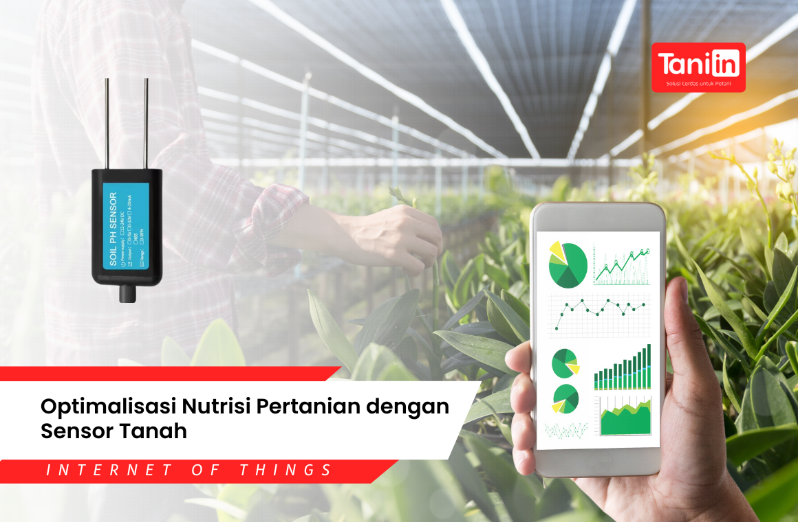 Optimalisasi Nutrisi Pertanian dengan Sensor Tanah