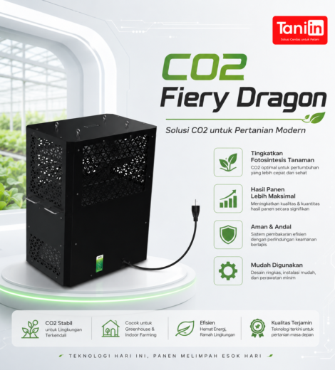 CO2 Fiery Dragon