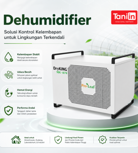 Dehumidifier