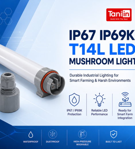 IP67 IP69K T14L LED Mushroom Light