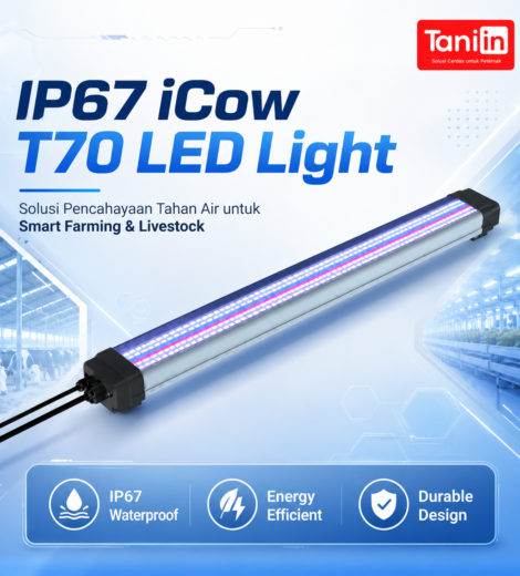 IP67 iCow T70 LED Light