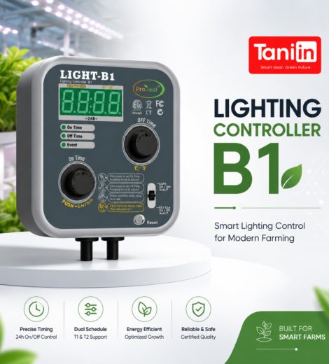 Lighting Controller B1