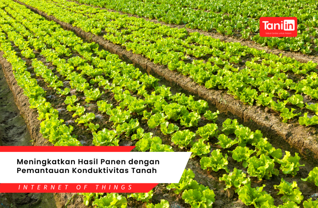 Meningkatkan Hasil Panen dengan Pemantauan Konduktivitas Tanah