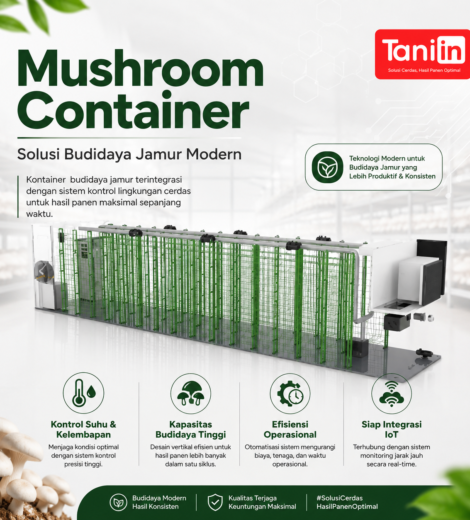 Mushroom Container