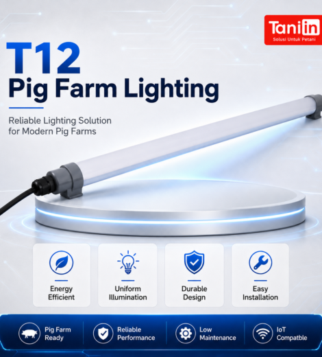 T12 Pig Farm Lighting