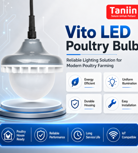 Vito Led Poultry Bulb