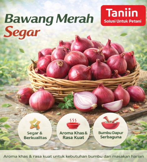 Bawang Merah Segar 2026-03-16